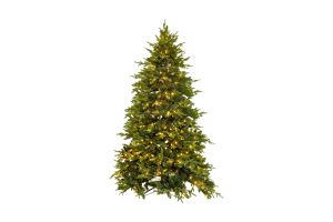 PINUS, albero di Natale, 245cm, con 610 leds