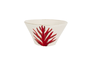 KAO, bowl, coral